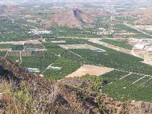 Campos de limoneros y S de los speros