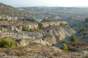 Barranco de Gebas 