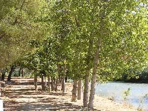 PARQUE MUNICIPAL