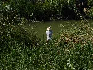 Pescador