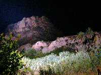 Paraje El Solvente en la noche y tipicas sombras de palmeras en la montaa-Ojos