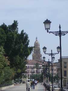 malecn