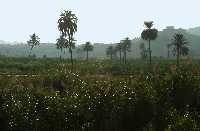 Paisaje caracterstico de Ulea