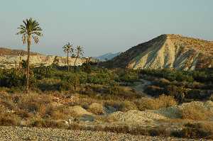 Paraje de El Olivar junto al ro Chcamo 