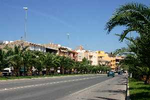 Avda. de las palmeras