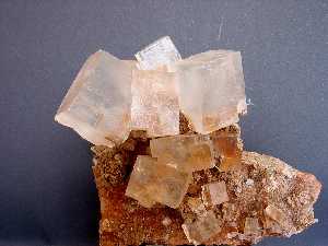 Cristales cbicos de halita. (Coleccin del Dpto. de Geologa de la Univ. de Murcia) [Minerales]