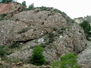 Conglomerado del Mioceno superior de cantos silicatados. Procede de un abanico aluvial de la Sierra de Carrascoy (Murcia) [Rocas]