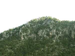 Dolomas jurasicas de la sierra del Frontn [Rocas]