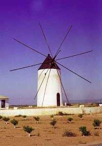  Molino del Campo de Cartagena [Folclore_Vida en el campo]