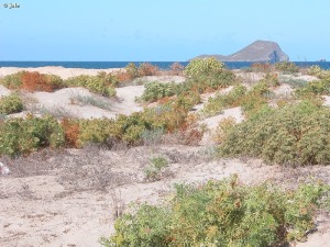 Playa Snipes, proximidades del Casino, La Manga del Mar Menor (San Javier)