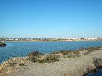 Parque Regional de los Arenales y Salinas de San Pedro
