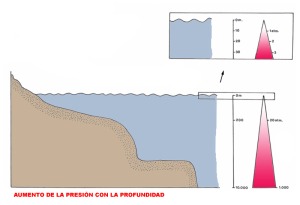 Figura 2. Representacin grfica del aumento de presin con la profundidad - Cristina Eisman