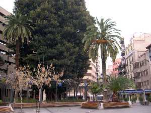 Centro de la Plaza 