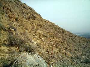 Ladera del Cerro en el que se Encuentra el Poblado