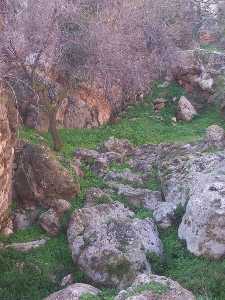 Rincn verde en El Berro 