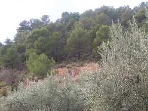 Sierra Espua y El Berro 