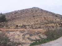 El Coto Guillamn 