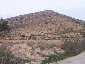 El Coto Guillamn 