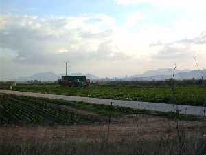 Agricultura de Balsapintada 