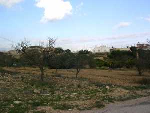 Campo y casas 