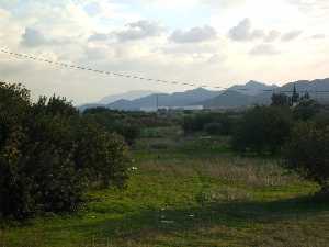 Campo y sierra 