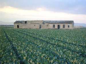 Casa antigua a las afueras de Balsapintada 