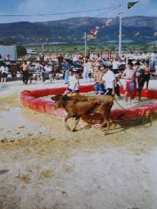 Los jvenes con la vaquilla 