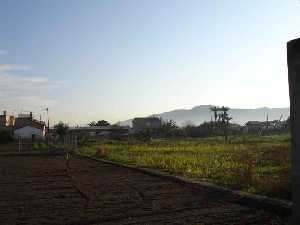  Huerta de Los Dolores 
