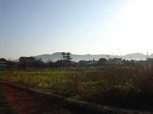  Huerta de Los Dolores_1 