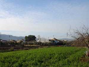  La Huerta circunda el casco urbano 