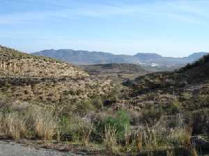 Al fondo la Sierra de Enmedio, cercana al Cabezo de la Jara 