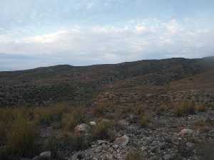 Monte bajo en la Sierra de Ascoy 