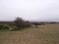 Naturaleza que rodea Archivel 