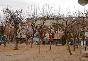 Moreras en San Esteban