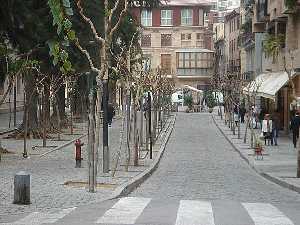 Moreras en Murcia