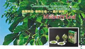 Productos japoneses a base de hoja de morera