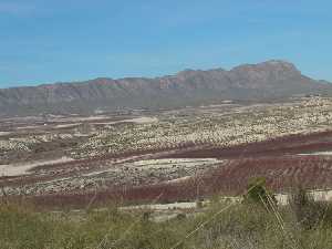 Panormica de la solana y glacis de la Sierra de la Cabeza del Asno en Mazarrn