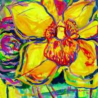 Orqudea
