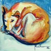 Perro