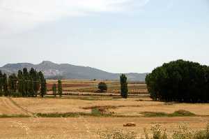 Vista de Campos y Chopos 