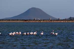 Isla Redonda desde Las Salinas de San Pedro del Pinatar [Enclave Ambiental]