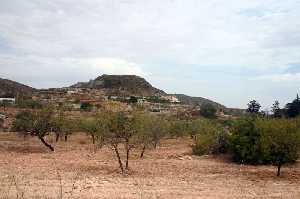 Vegetacin y Almendros 