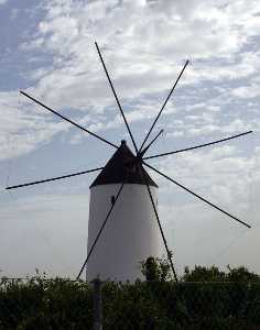 Molino 