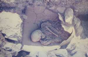 Urna en una excavacin [La Bastida de Totana]