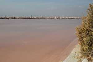 Estanque evaporacin
