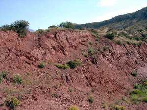 Areniscas silceas trisicas del Subbtico externo 
