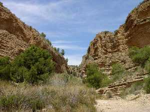 Cabecera del Ro Chcamo