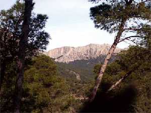 Paredes del Leiva, al fondo