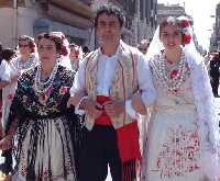Labradores 