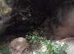 Interior de Cueva Antn 